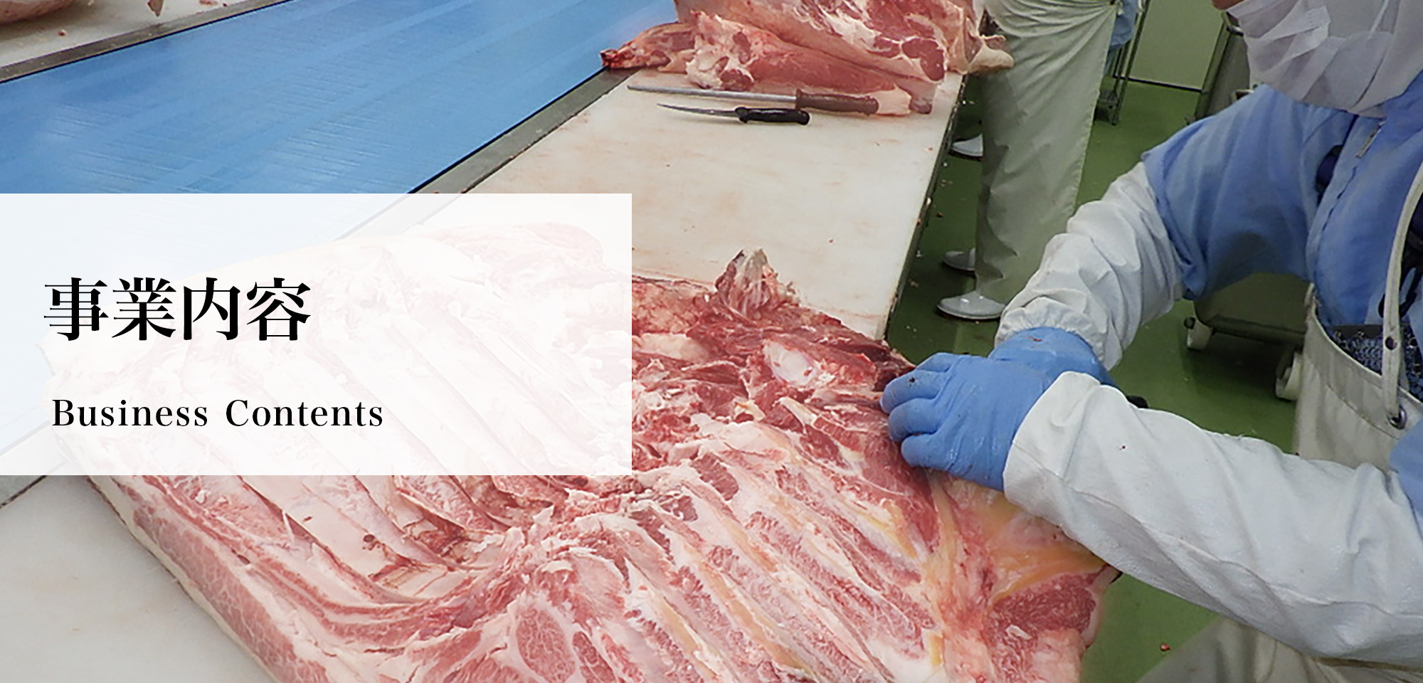 事業内容 Business Contents