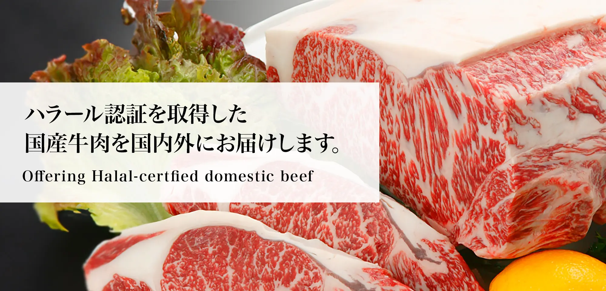 ハラール認証を取得した国産牛肉を国内外にお届けします。 Offering Halal-certfied domestic beef